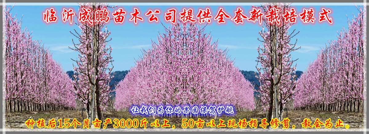 鋼格板