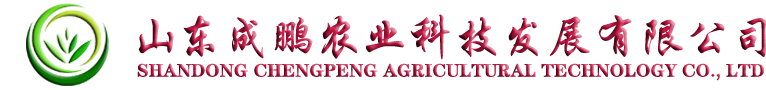 聯(lián)辰鋼格板專(zhuān)業(yè)生產(chǎn)廠(chǎng)家